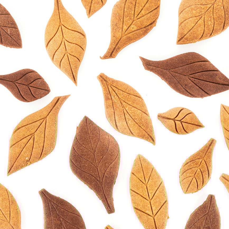 Voila Cookie Leaves Kalup za kekse