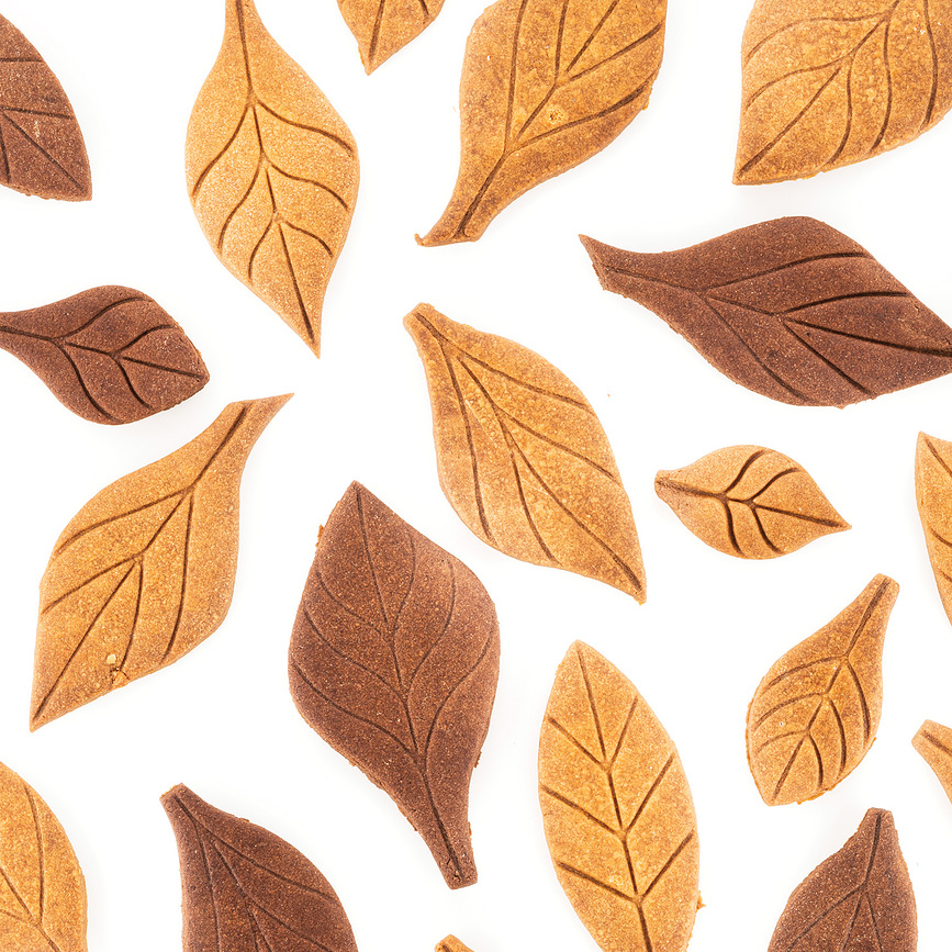 Voila Cookie Leaves Φόρμα Ψησίματος, για μπισκότα σε σχήμα φύλλων