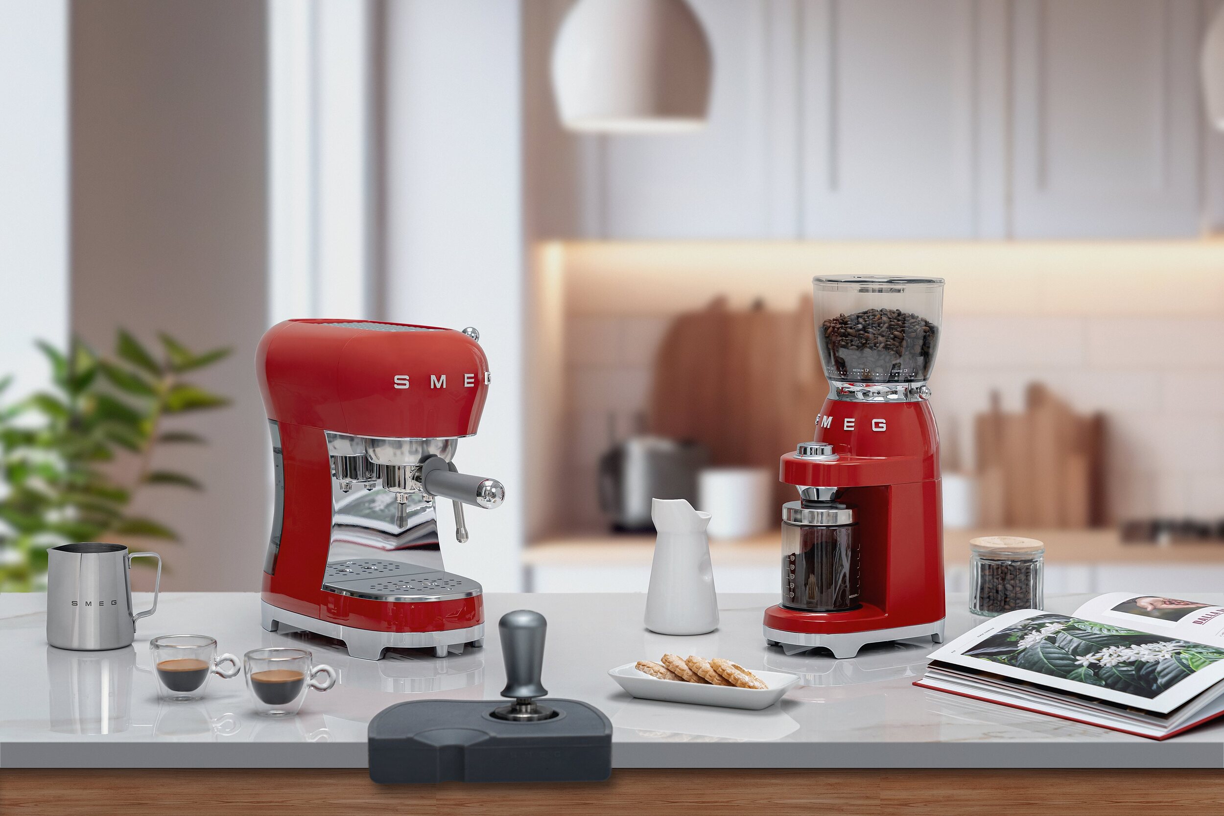 Smeg Coffee Grinder Review