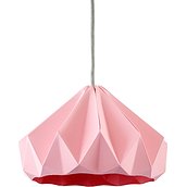 Chestnut Lamp pink