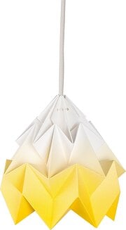 Moth Lamp astmeline