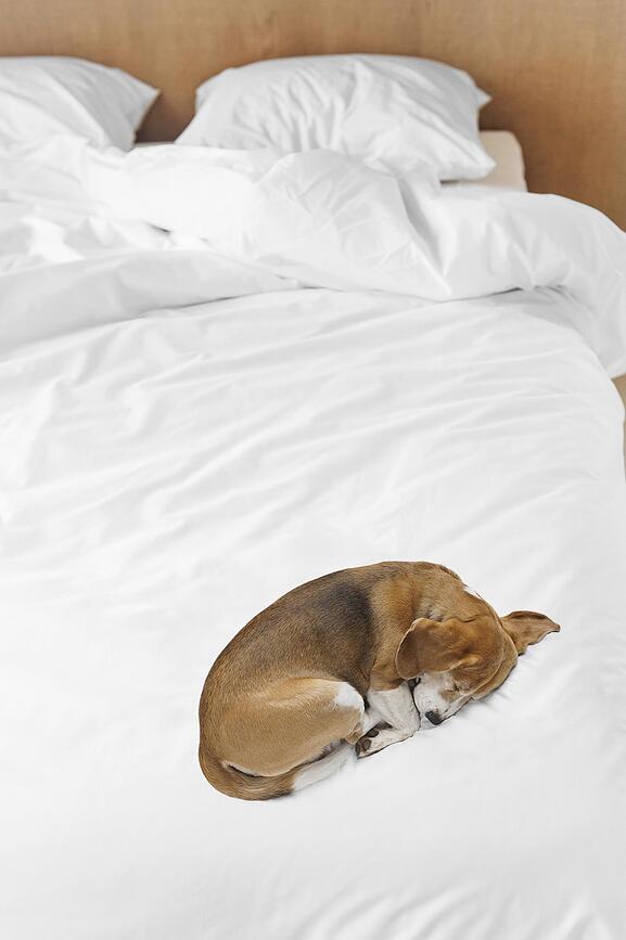 Bob Σετ Παπλωματοθήκης, 135 x 200 cm