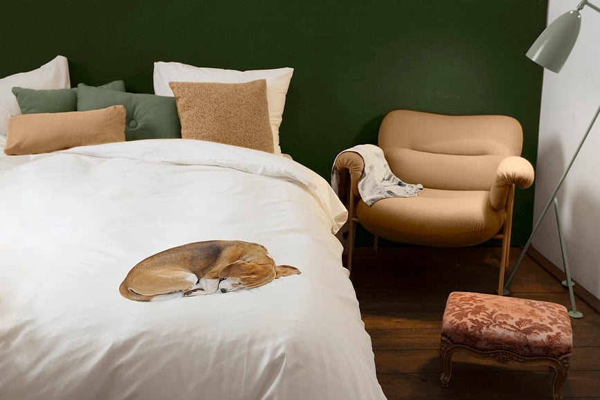 Bob Posteljnina, 135 x 200 cm