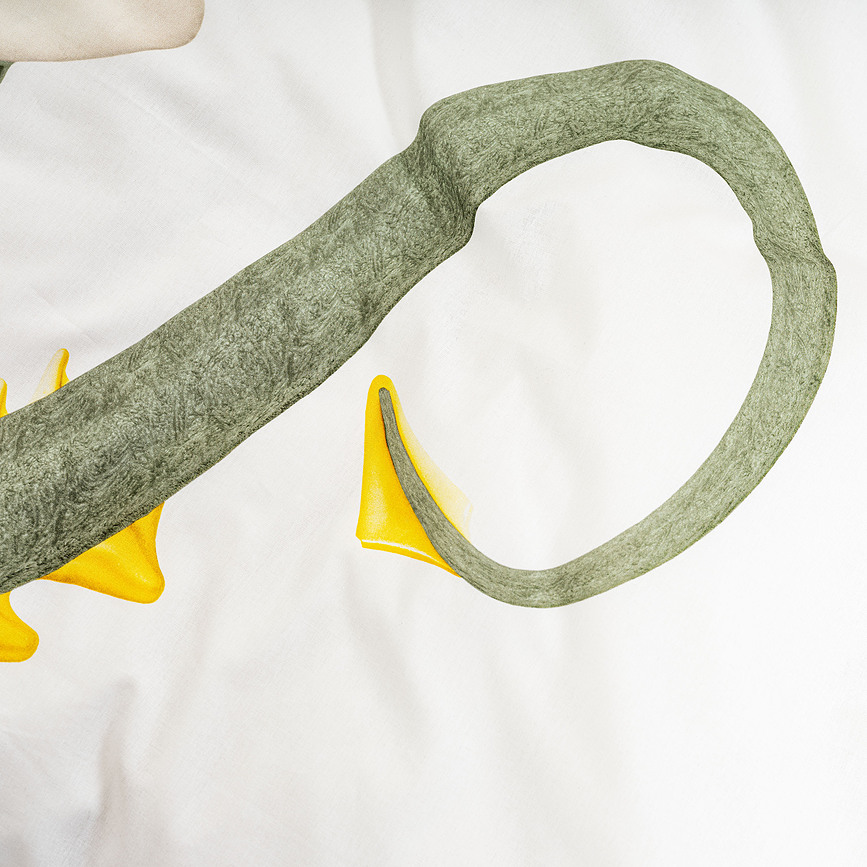 Dragon Housse de Couette 200 x 200 cm