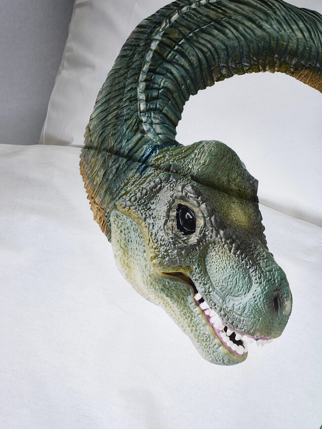 Parure de lit Dino Bronto 200 x 200 cm avec 2 taies d'oreiller 60 x 70 cm