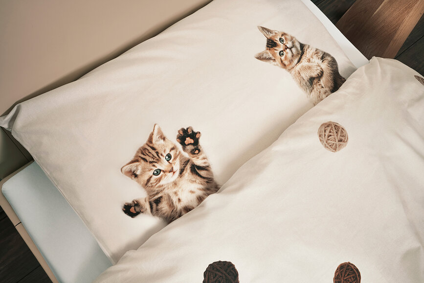Parure de lit en flanelle Kitten Friends 200 x 200 cm avec 2 taies d'oreiller 60 x 70 cm