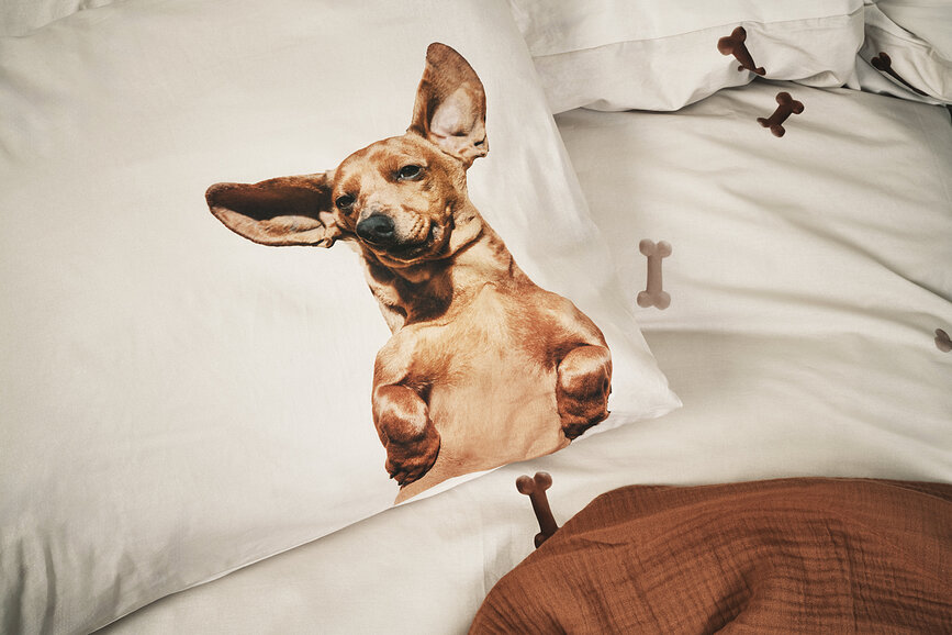 Posteljnina Dachshund Friends 240 x 220 cm z 2 prevlekama za vzglavnik 60 x 70 cm