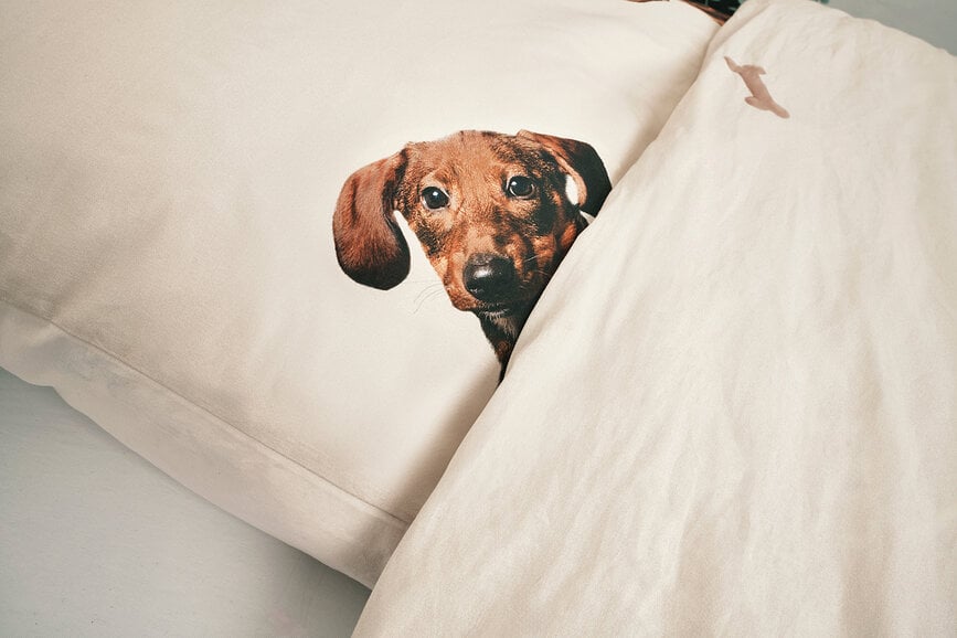 Ropa de cama Dachshund Friends 240 x 220 cm con 2 fundas de almohada 60 x 70 cm