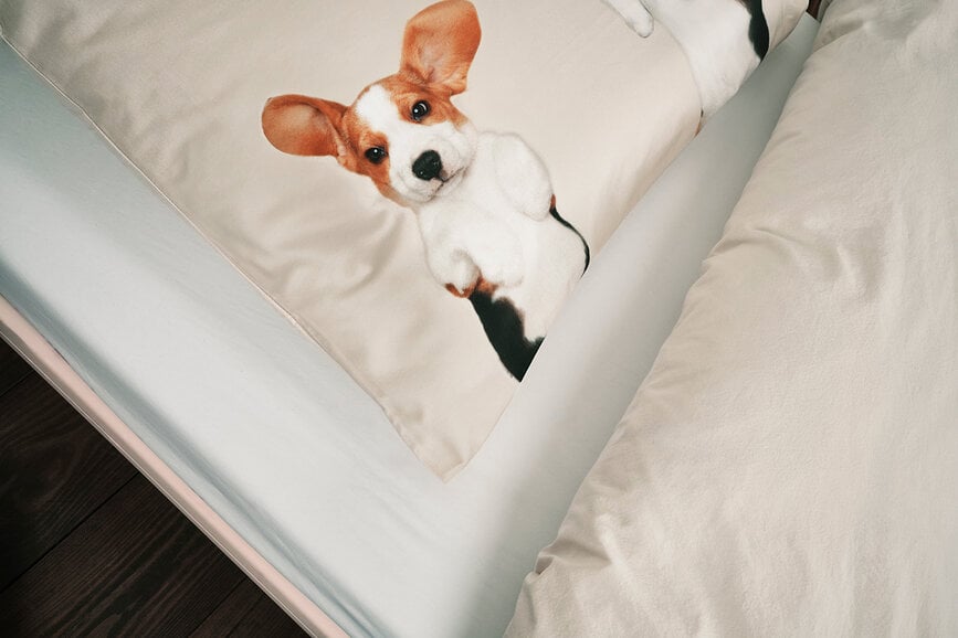 Ropa de cama de franela Beagle Friends 260 x 220 cm con 2 fundas de almohada 60 x 70 cm