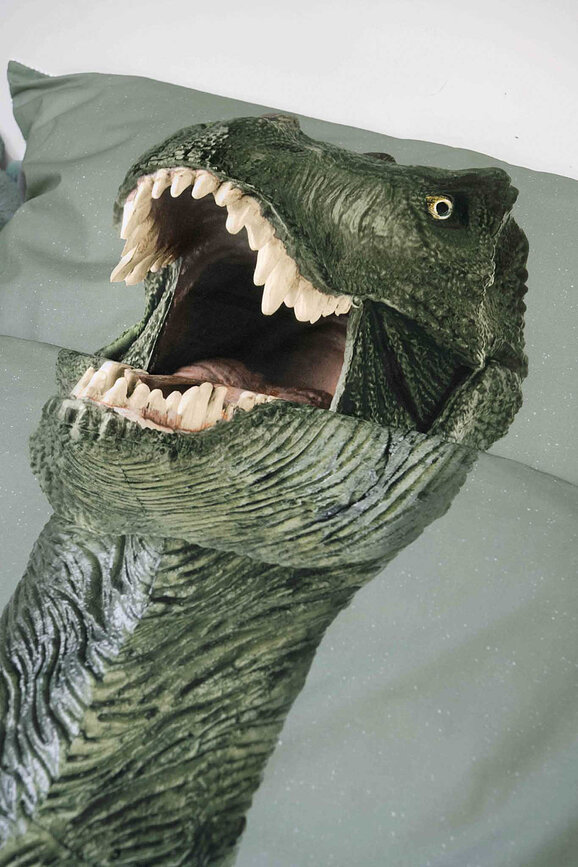 Ropa de cama Dino Jurassic Green 200 x 200 cm con 2 fundas de almohada 60 x 70 cm