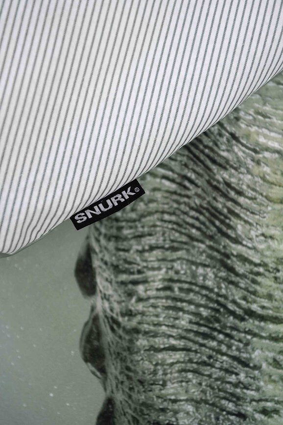 Ropa de cama Dino Jurassic Green 200 x 200 cm con 2 fundas de almohada 60 x 70 cm