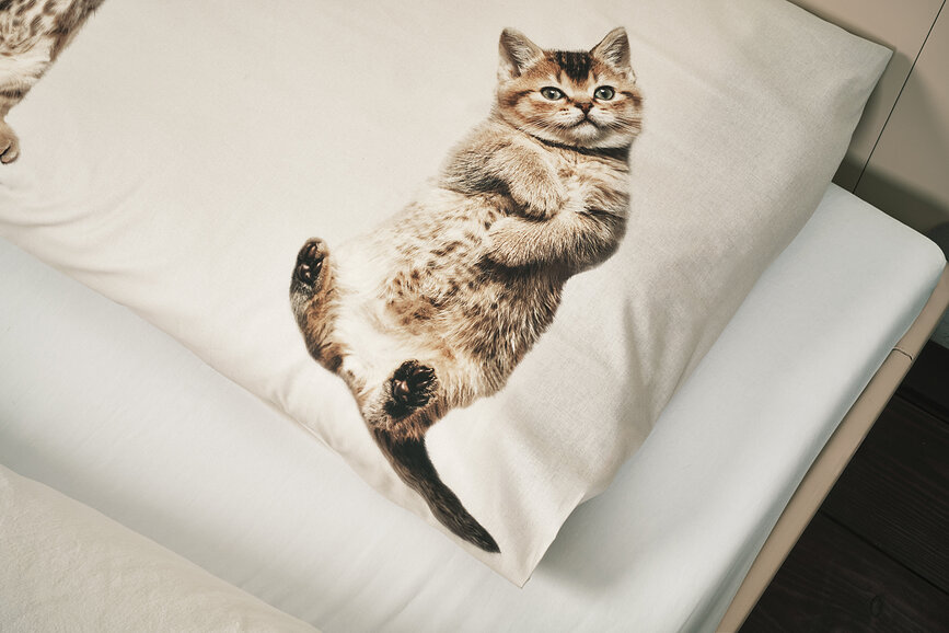 Ropa de cama Kitten Friends 240 x 220 cm con 2 fundas de almohada 60 x 70 cm