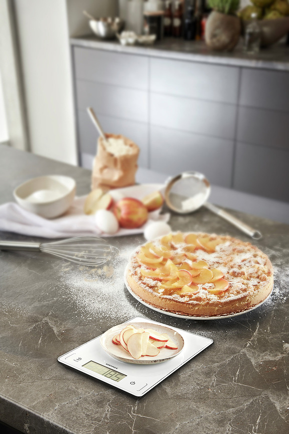 Page Profi 300 Kuhinjska Tehtnica, elektronska