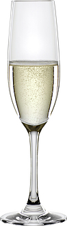 Winelovers Šampanjapokaal