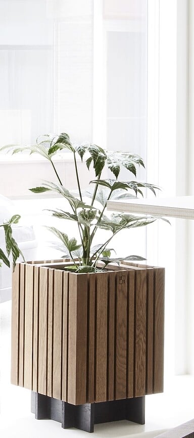 Base de roble natural BaseMORE, para maceta de autorriego GrowMORE