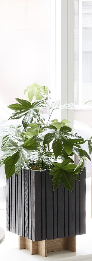 BaseMORE Base, chêne naturel, pour pot à réserve d'eau GrowMORE