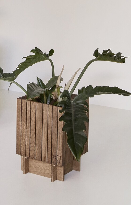 BaseON Support pour Pot à Réserve d'Eau GrowON, chêne naturel