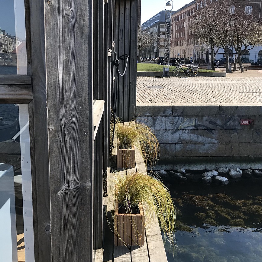 GrowBIG Samozalivalni lonec, črni jesen