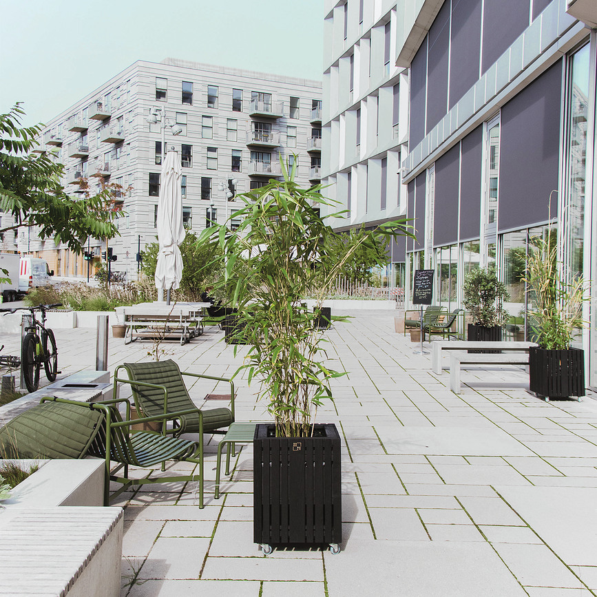 GrowBIG Samozalivalni lonec, črni jesen