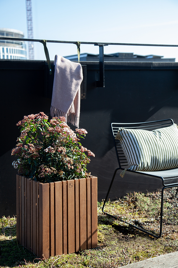 GrowBIG Samozalivalni lonec, črni jesen