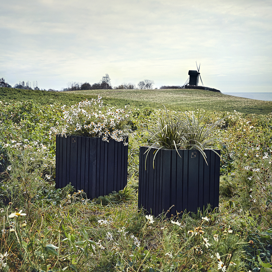 GrowBIG Pot à réserve d'eau, frêne noir