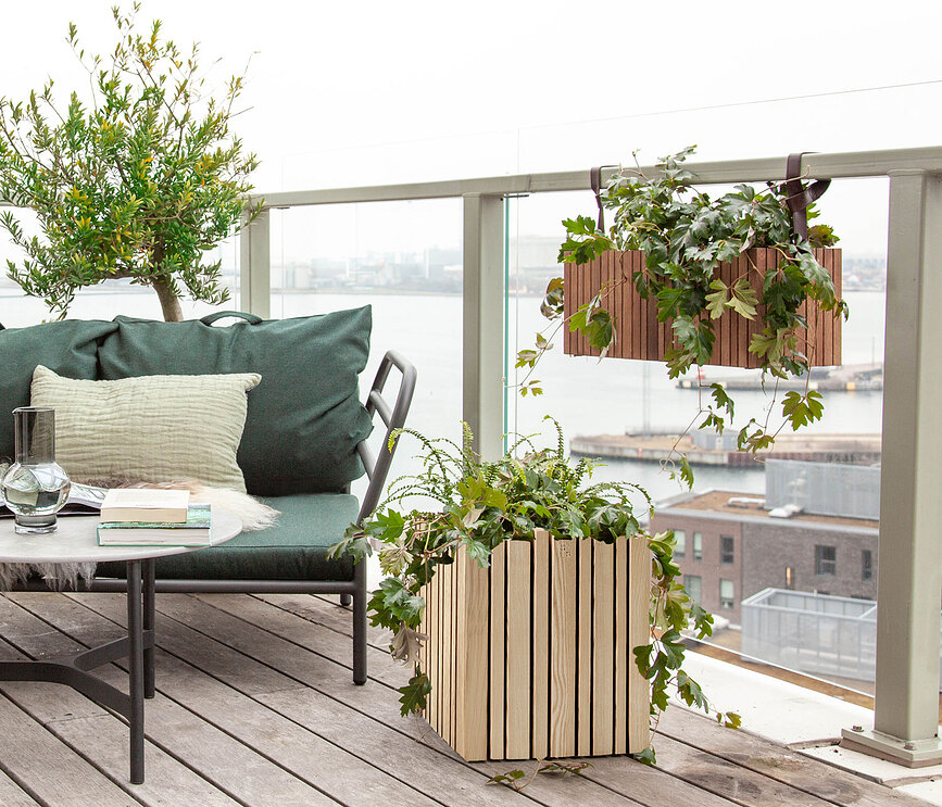 GrowMORE Lonček samonamakalni, temni hrast