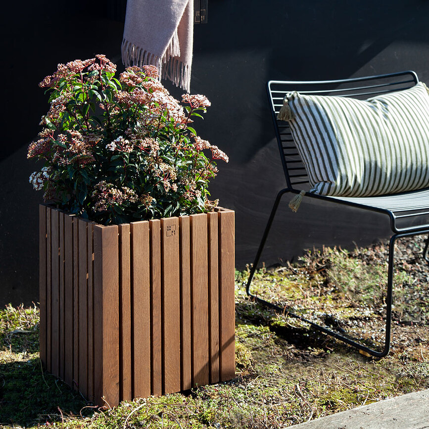 GrowMORE Lonček samonamakalni, temni hrast