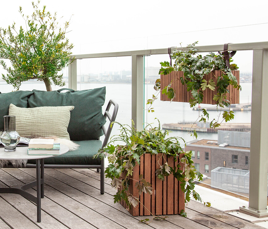 GrowMORE Lonček samonamakalni, temni hrast