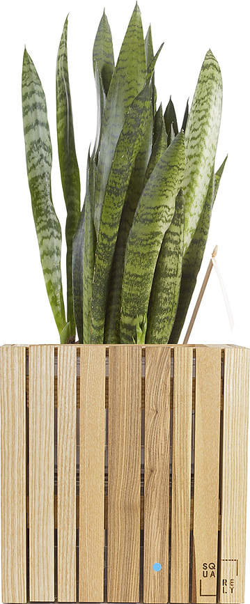 GrowON Cvetlični lonec samo-zalivalni, naravni jesen