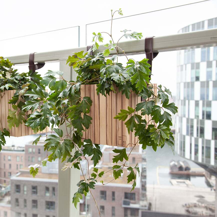 GrowON GrowWIDE Ιμάντες ανάρτησης για αυτοποτιζόμενη γλάστρα, δερμάτινοι μαύροι, 38 cm, 2 τμχ