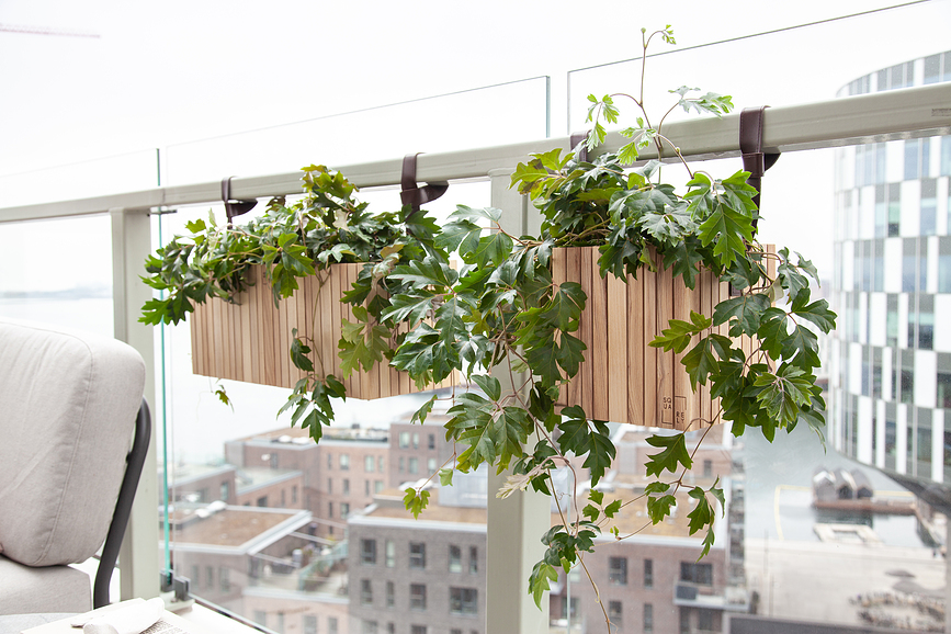 GrowON GrowWIDE Sangles de Suspension pour pot auto-arrosant, 48 cm, en cuir, noires, Lot de 2