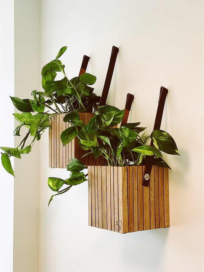 GrowON Lonec samozalivalni stenski, naravni jesen