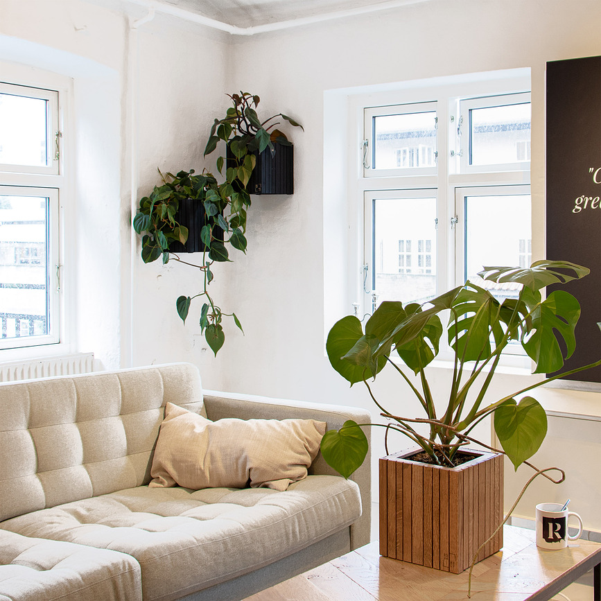 GrowON Pot auto-arrosant, frêne noir