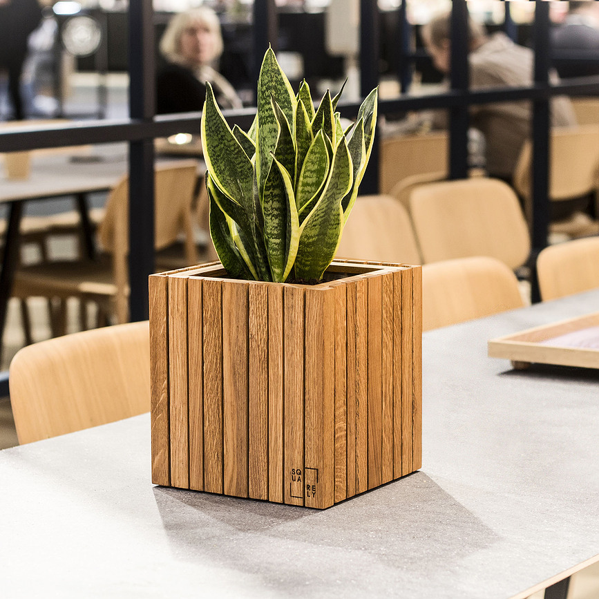 GrowON Posuda samonavodnjavajuća prirodni jasen