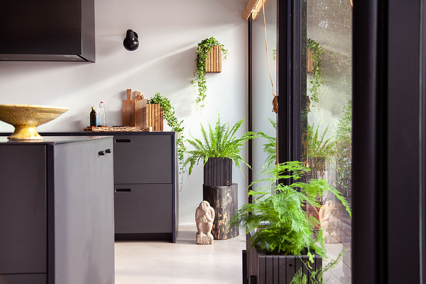 GrowSMALL Αυτοποτιζόμενη Γλάστρα επιτοίχια, φυσική φλαμουριά