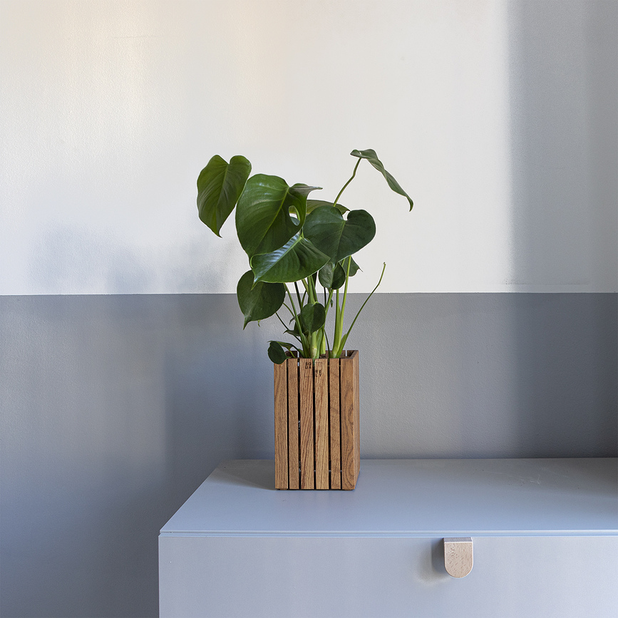 GrowSMALL Pot de Fleurs auto-arrosant, chêne naturel