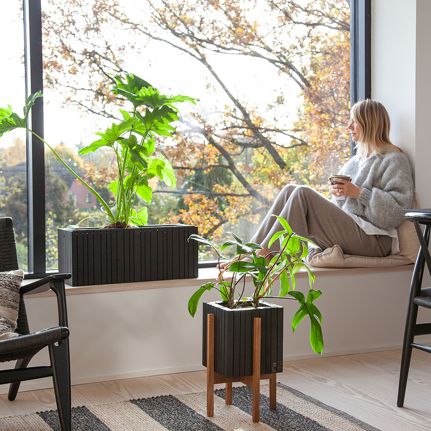 GrowWIDE Αυτοποτιζόμενη Γλάστρα, όψη μαύρης φλαμουριάς