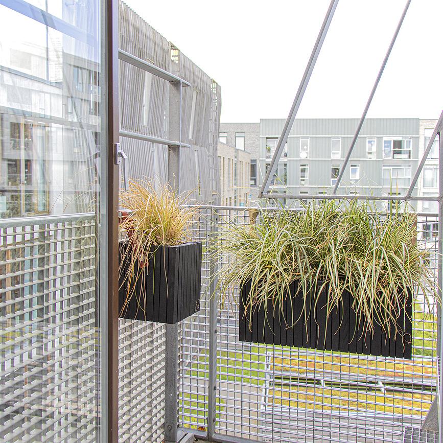 GrowWIDE Pot auto-arrosant avec trous pour supports de suspension, frêne noir