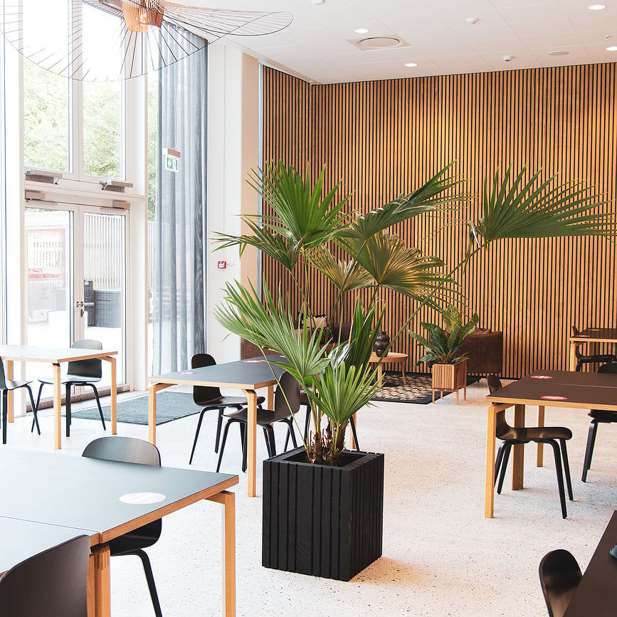 Maceta de autorriego GrowBIG, fresno negro