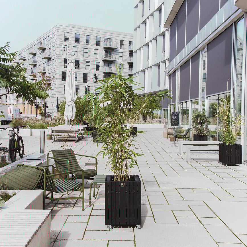 Maceta de autorriego GrowBIG, fresno negro