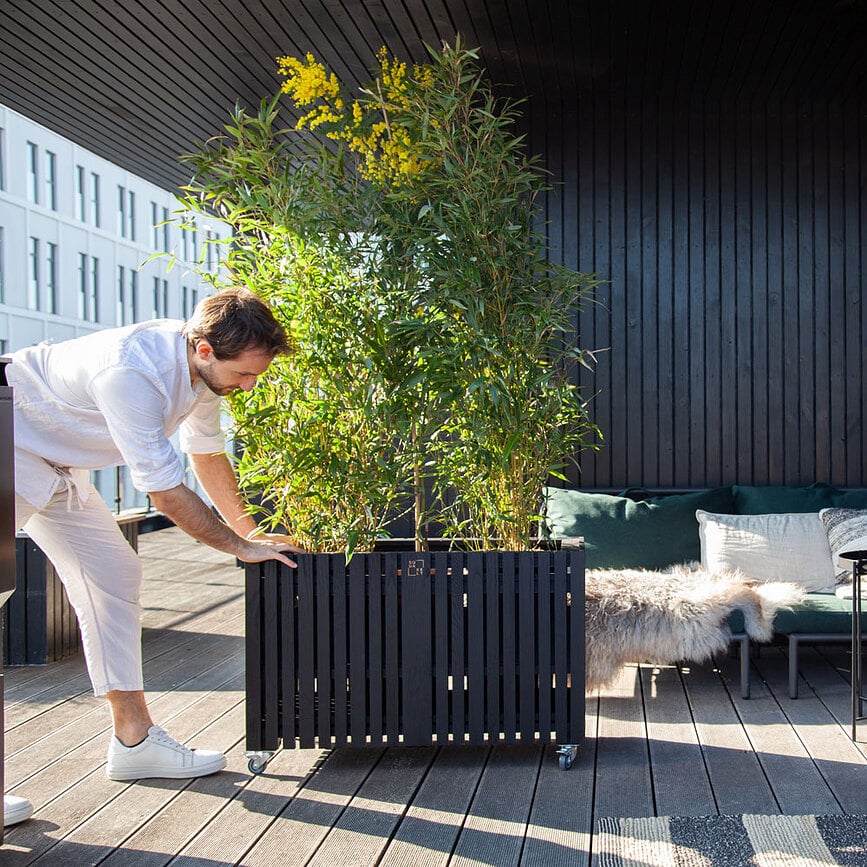 Maceta de autorriego GrowLARGE, efecto roble oscuro