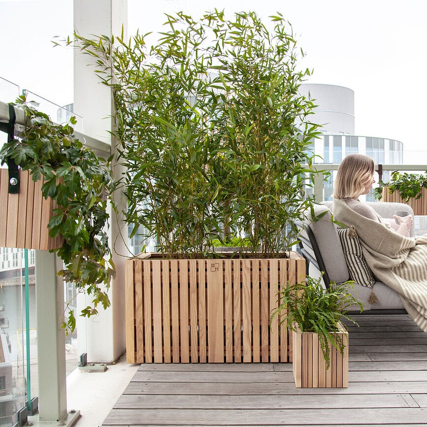 Maceta de autorriego GrowLARGE, efecto roble oscuro