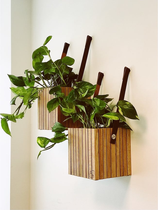 Maceta de autorriego GrowON, montada en pared, fresno natural