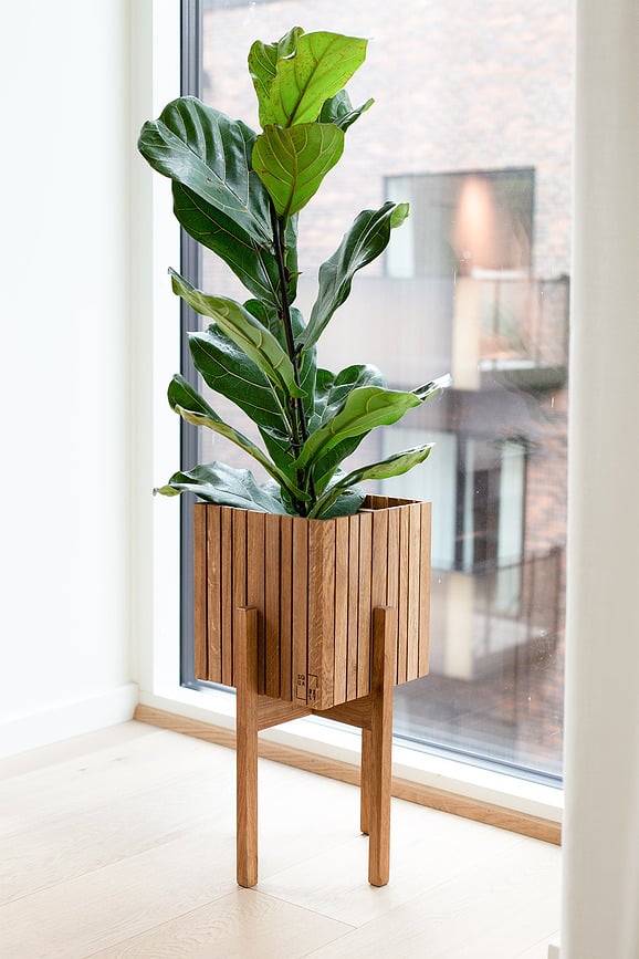 Maceta de autorriego GrowON, madera de fresno natural