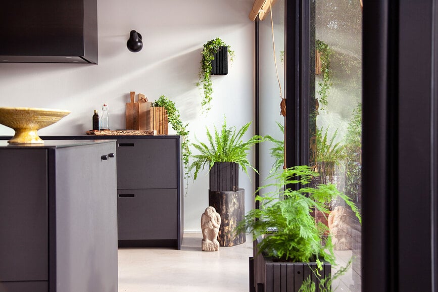 Maceta de autorriego GrowSMALL, madera de fresno natural, para pared