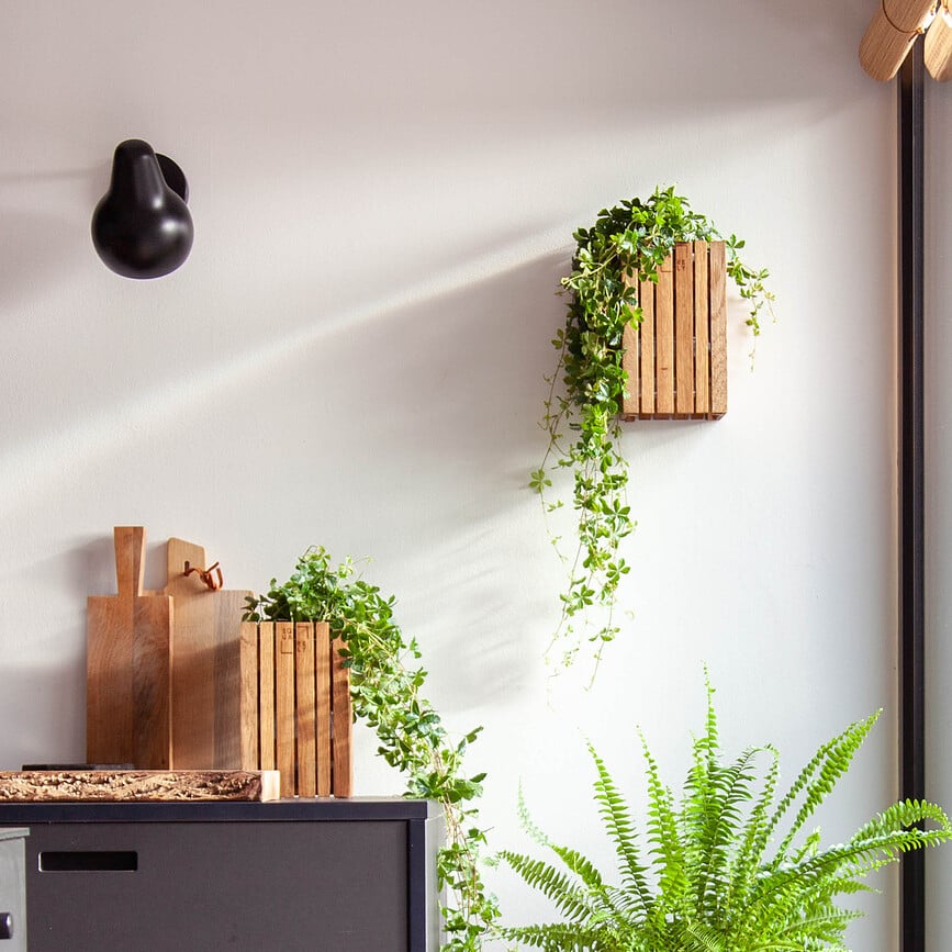 Maceta de Autorriego GrowSmall, de roble natural