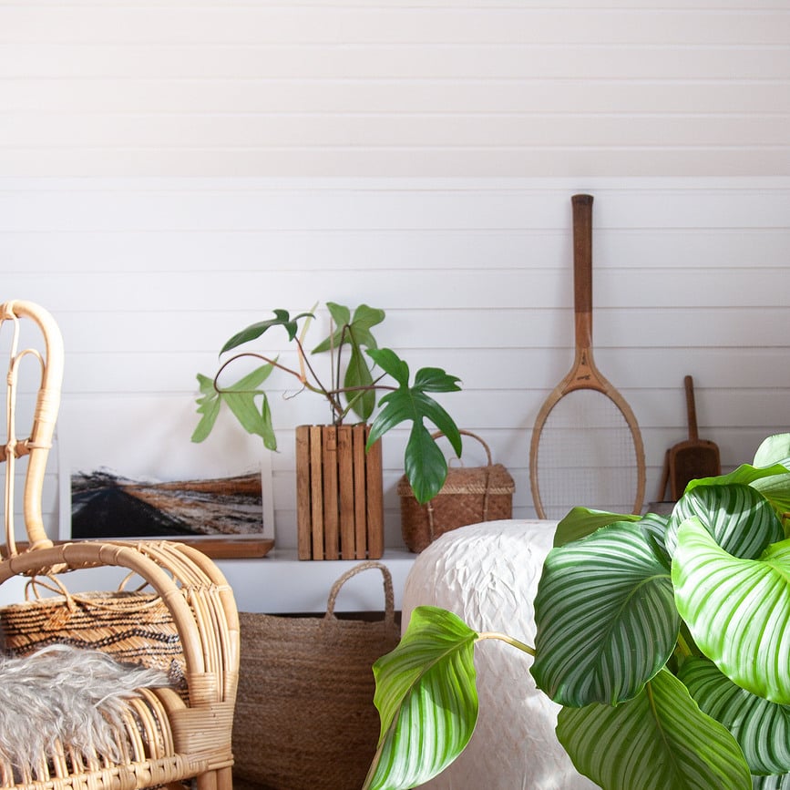 Maceta de Autorriego GrowSmall, de roble natural