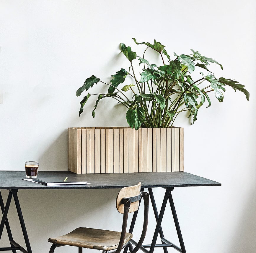 Maceta de autorriego GrowWIDE, fresno negro