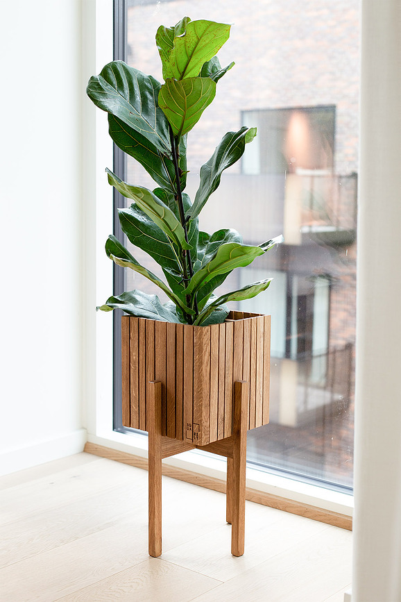 Soporte de fresno negro StandON, para maceta de autorriego GrowON