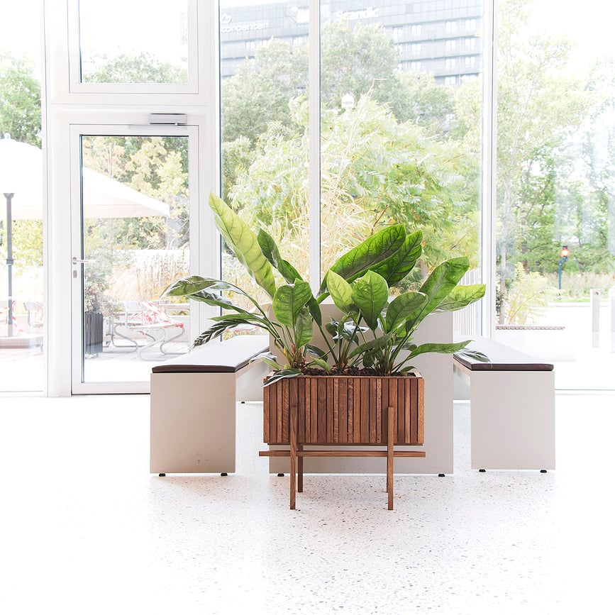 Soporte StandWIDE, negro, madera de fresno, para maceta de autorriego GrowWIDE